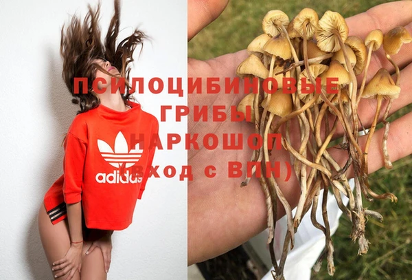 шишки Алзамай