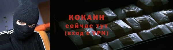 шишки Алзамай