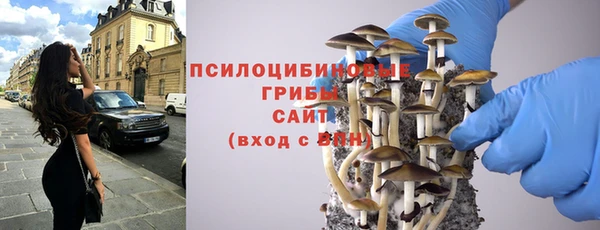 шишки Алзамай