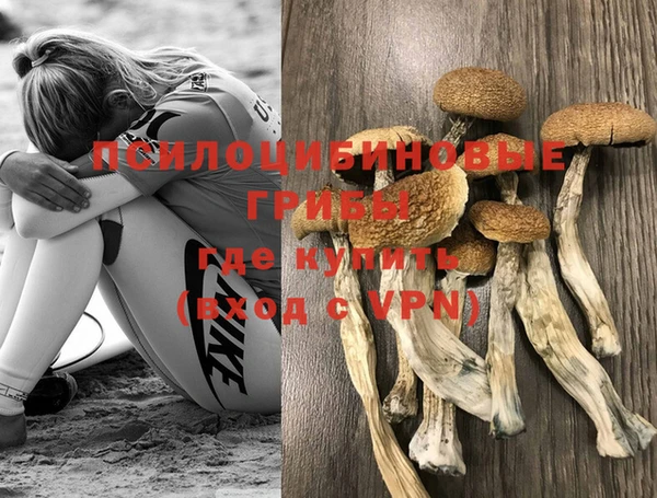каннабис Алексеевка