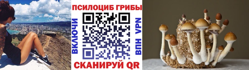 Псилоцибиновые грибы мицелий  купить наркотик  Лобня 